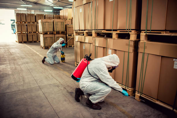 Best Termite Control Services  in Gregory, SD