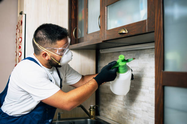 Best Ant Control Services  in Gregory, SD