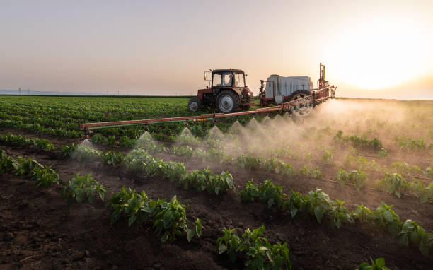 Best Mosquito Control Services  in Gregory, SD