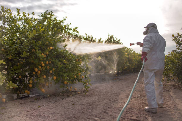 Flea Control Services in Gregory, SD