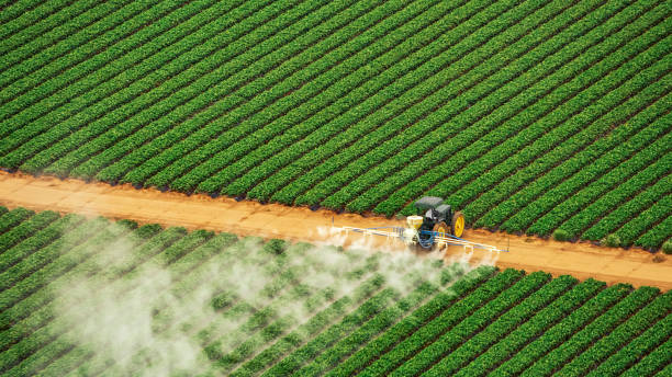 Best Commercial Pest Control Services  in Gregory, SD