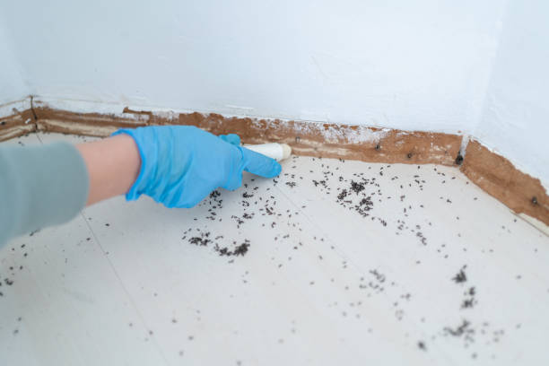 Best Best Pest Control Companies  in Gregory, SD