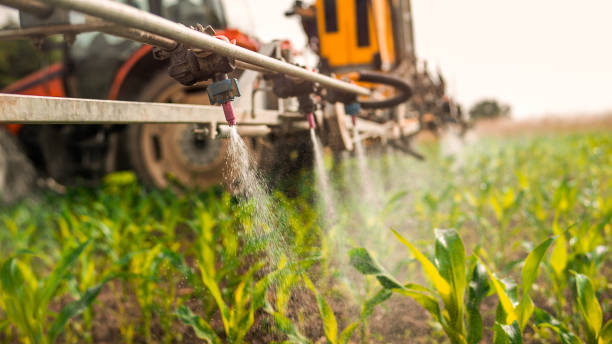 Insect Control in Gregory, SD